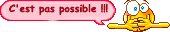 paspossible